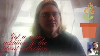 plant update got a new addition to the plant collection