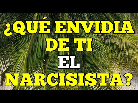 8 CHARACTERISTICS THAT THE NARCISSIST ENVIES IN YOU