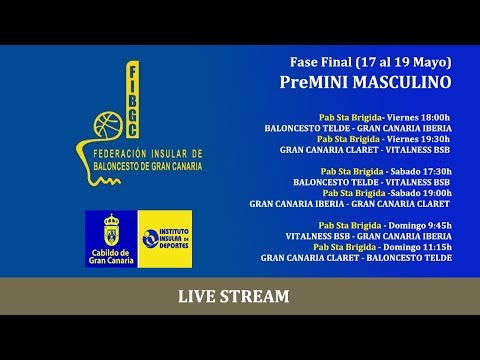 Fase final 2019 PreMINI MAS  BALONCESTO TELDE - VITALNESS BSB