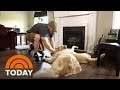 Service Dog Gives A Vet Dogs Ambassador A New 'Leash' On Life | TODAY