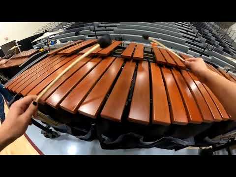 Vision Percussion 2023 Marimba Cam: Toby