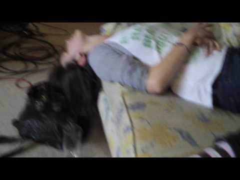 One Sixth Of Tommy - Studio Diary