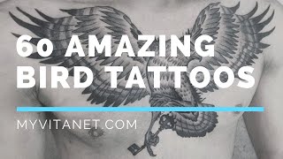 60 Amazing Bird Tattoos Design Ideas