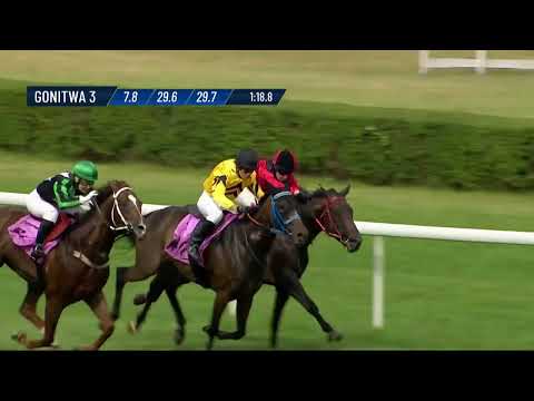 Dzień 17 - (30.06.2024) Tor Służewiec