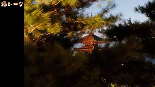 【雑談配信】ほろ酔いラジオ【酒トーク】