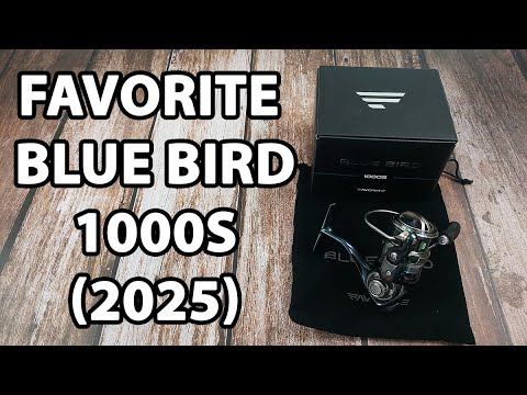  Котушка Favorite Blue Bird 1000S (2025), низькопрофільна шпуля, підшип. 9+1, швидкість: 5.2:1