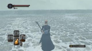【PS4】【DARK SOULS Ⅱ】sl1 #39 王の仔アーヴァ