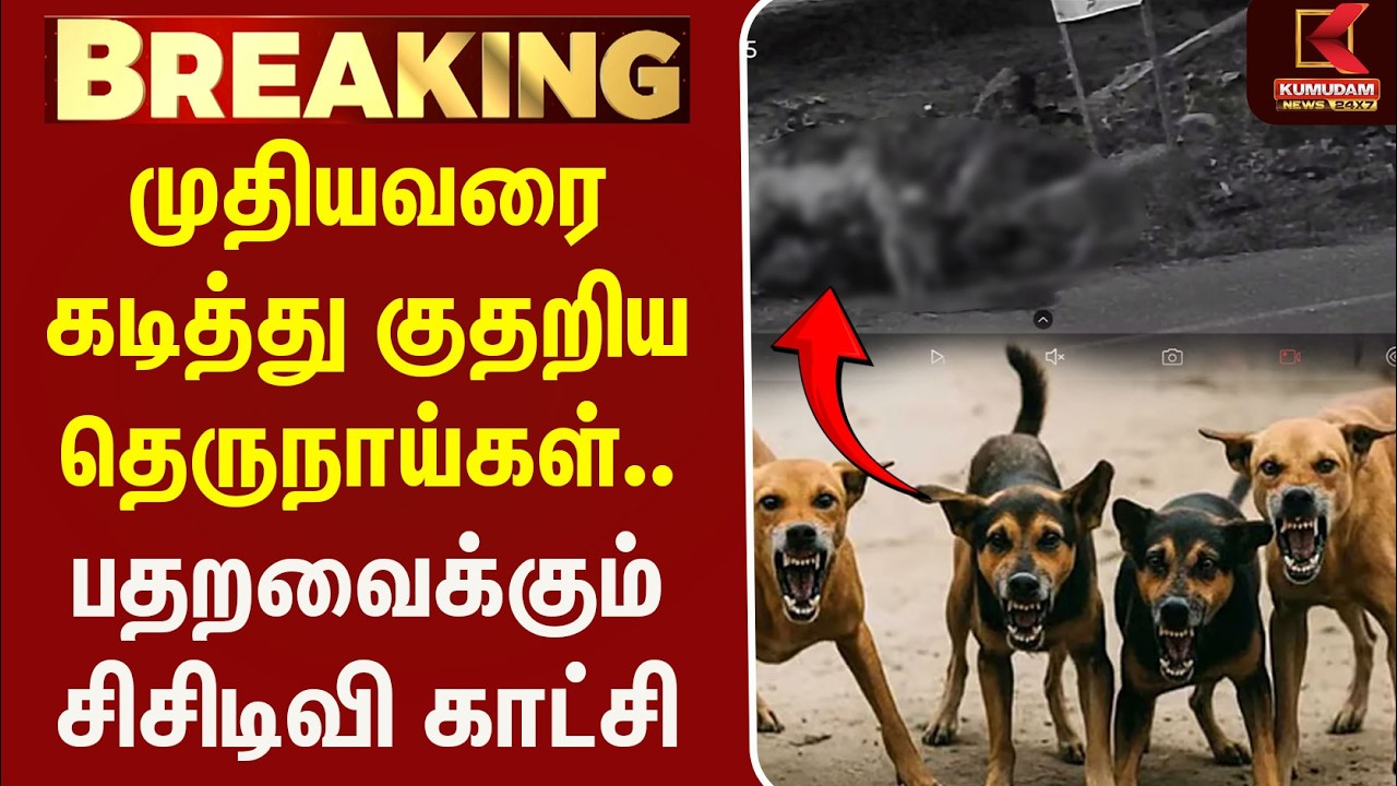 StreetDogsBiteoldman |முதியவரை கடித்து குதறிய தெருநாய்கள். பதறவைக்கும் சிசிடிவி காட்சி| Kumudam News