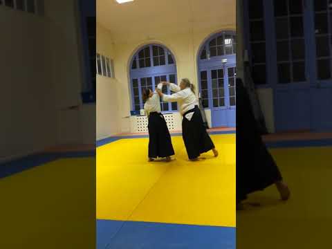 AIKIDO techniques 69   2018 12 13