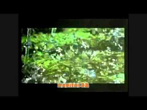 Askujt nuk guxohet t'i shkaktohet dëm... / Hadithi 32