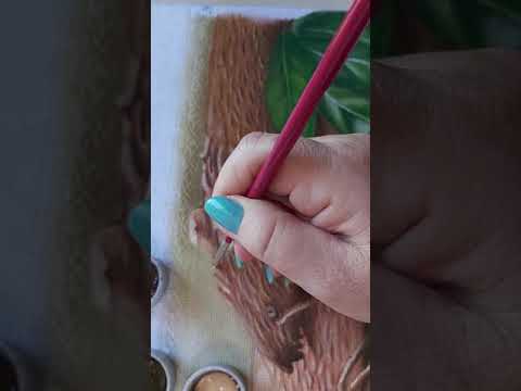 GRÃOS DE TAPIOCA E MACAXEIRAS - PARTE 3 (MACAXEIRAS)