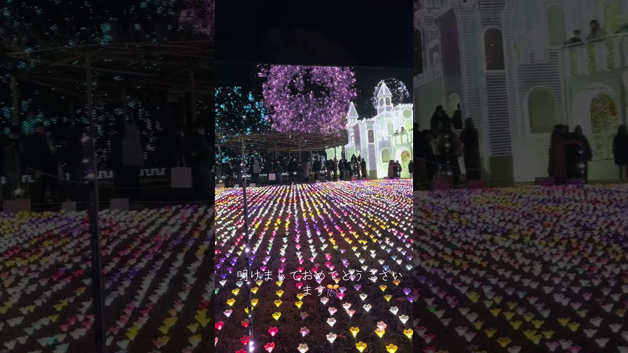 Ashikaga flower park so amazing about the lighting
