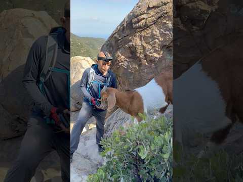 Arlington Peak | Dragon’s Back Ridge | Baby Goat Hiking | Santa Barbara’s Iconic Hike | Panorama