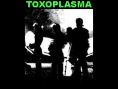 Pass Dich an - Toxoplasma