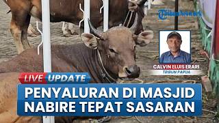 Puluhan Ekor Sapi Disembelih di Nabire, Penyaluran Daging Kurban Dipastikan Tepat Sasaran