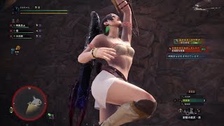 【MHWIB】ムフェト・ジーヴァ全部位破壊1撃討伐　8分52秒【ゆっくり実況】
