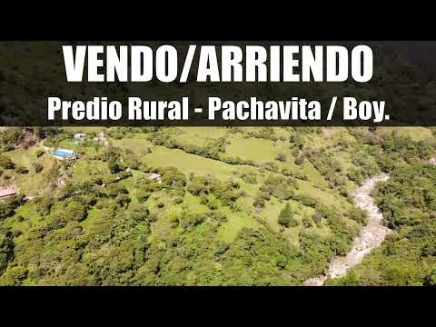 Vendo / arriendo predio Rural en Pachavita, Boyacá