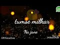 Tumse Milkar Na Jane Kyu Status