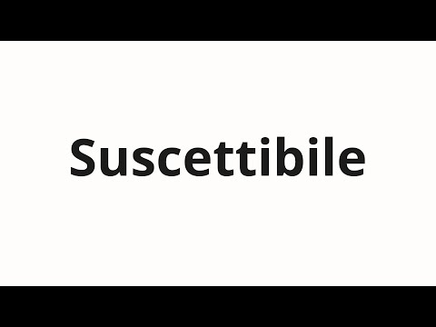 How to pronounce Suscettibile