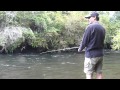 Pinga Fishing