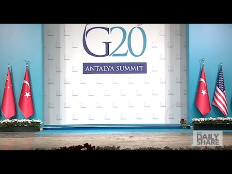 Cats crash the G20 Summit!
