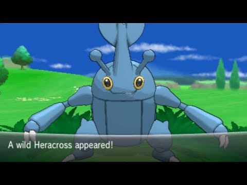 Pokemon X and Y Part 77 - Catching Heracross [ Dream World Moxie Abilty ]