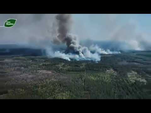 Wildfires Spread Through Radioactive Forests Near Chernobyl Amid Strong Winds and Mine Threats