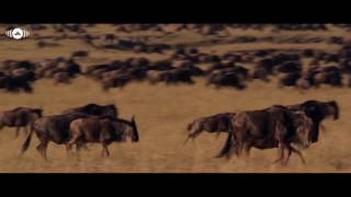 Download lagu Maher Zain BilThikr or  Music mp3