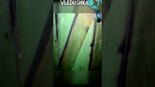 ДИВАННЫЙ ПУП | RYTP | часть 13 #антикек #вледушка #диванныйаналитик