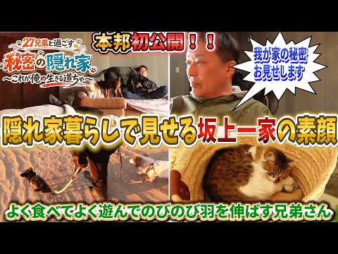 【本邦初公開！】隠れ家で見せる坂上家27兄弟の素顔。〜これが俺の生きる道ちゃ〜