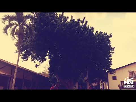 Star boiz GH(2tyt dancers) in collaboration with @dancelordmj  #mad session