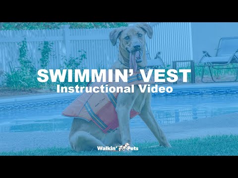 Orange XXS erhältlich in 5 Verschiedene Größen Aplusdeal Hundeschwimmweste Rettungsweste Schwimmtraining für Hund Dog Vest Lifejacket mit justierbare Klickverschlüsse & reflektierenden Streifen