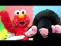 Unboxing Playskool Elmo 123 Sesame Street Peekaboo Joue A Cache Cache Spiele