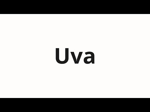 How to pronounce Uva