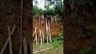 Download lagu perkampungan terpencil mp3