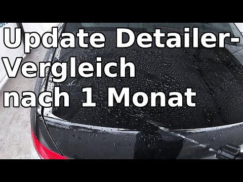 Detailer Vergleich || ADBL SSW / Sonax BSD / Meguairs Hybrid Ceramic Detailer || Nach 1 Monat