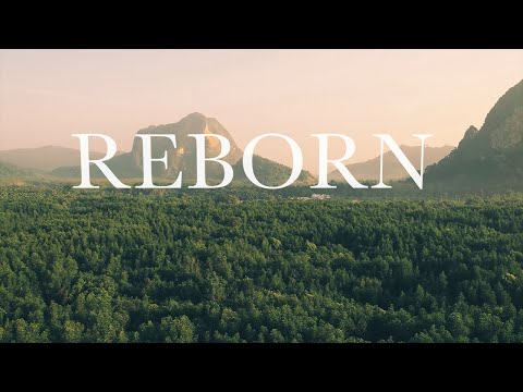 Finding Favour - Reborn (Official Lyric Video)