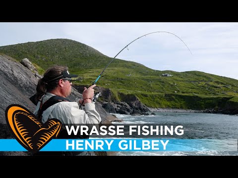Henry Gilbey - Wrasse Session, NED Salamander