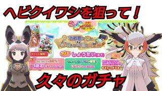 【けものフレンズ3】ヘビクイワシ狙って20連＆20％チャレンジ！【けもフレ3】