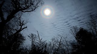 Pink Floyd - Julia Dream Cover by Catalin Adam Playing All Instruments