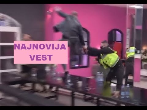 Car GAAĐAO Dejana FLAŠOM - Dragojević se ZAALETEO preko stola #zadruga #zadrugainfo