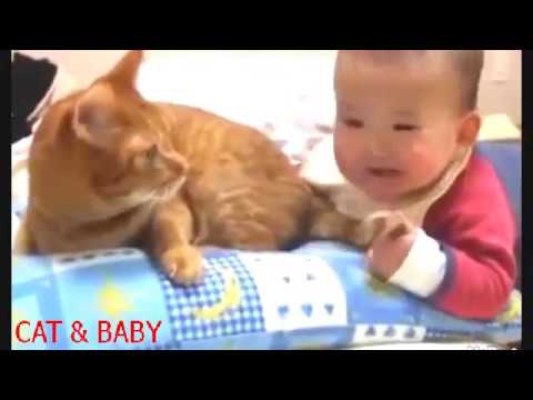 funny naughty babies with cat