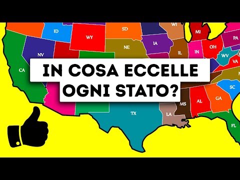 In Cosa Eccellono gli Stati Americani?