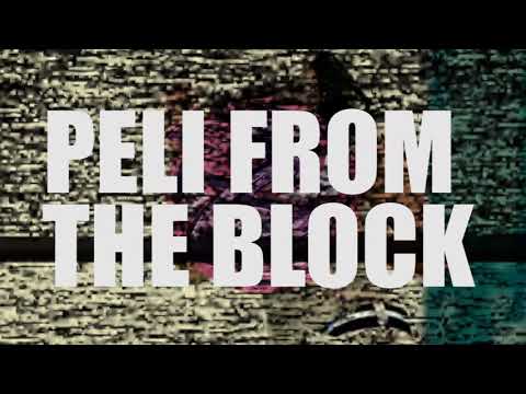 Pelikann - Peli From The Block [Music Video]