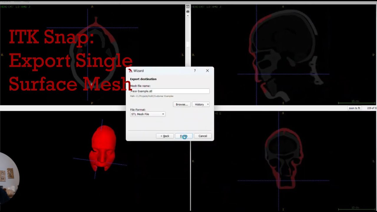 ITK Snap Export as Single Surface Mesh