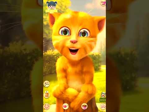 MY TALKING GINGER YELLOW CAT - the cutest talking ginger you ever saw! #talkingginger #shorts