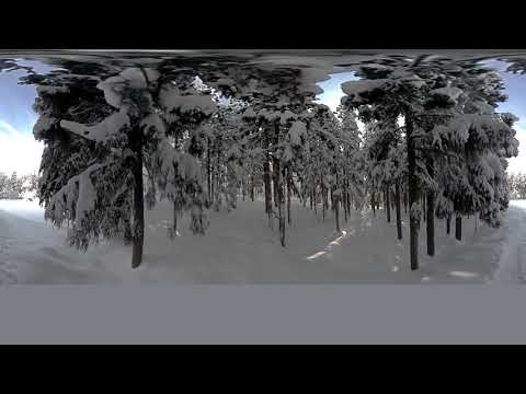 冬の美人林を歩いてみよう