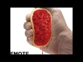 Emote Create Demand New Grunge 2017