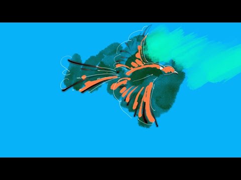 SVIT - Пташкою