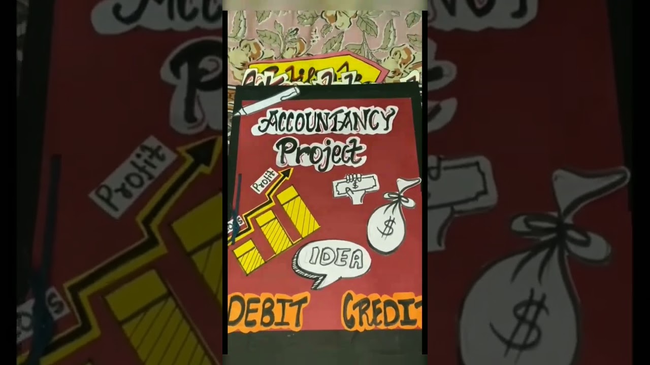 accountancy project class 11